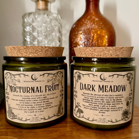 Enchanted Oddities Collection