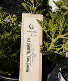 Hand Dipped Charcoal Incense Sticks